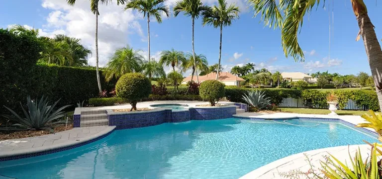 Backyard pool with palm trees